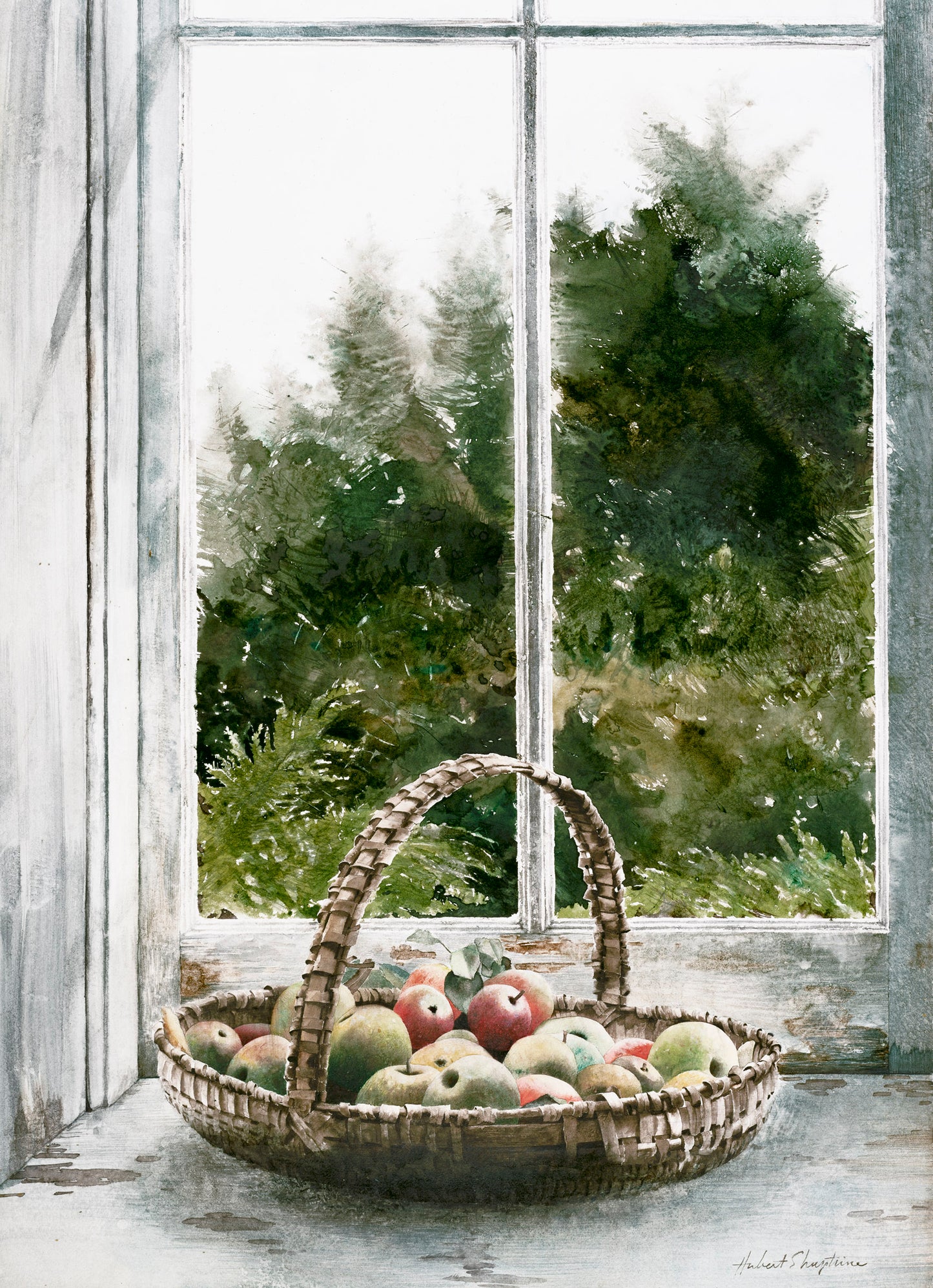 Wild Apples