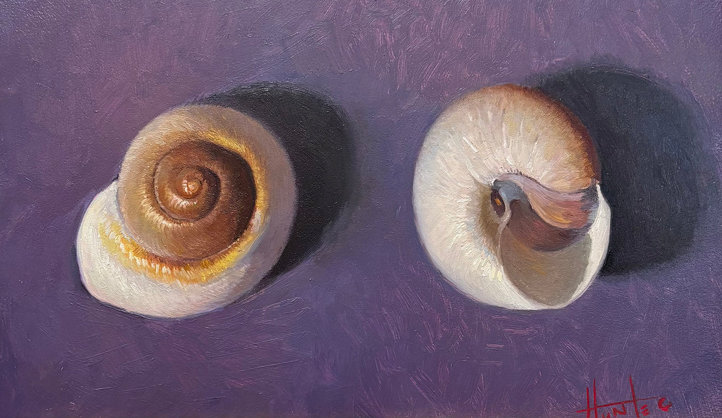 Sea Shells © Hunter Eddy