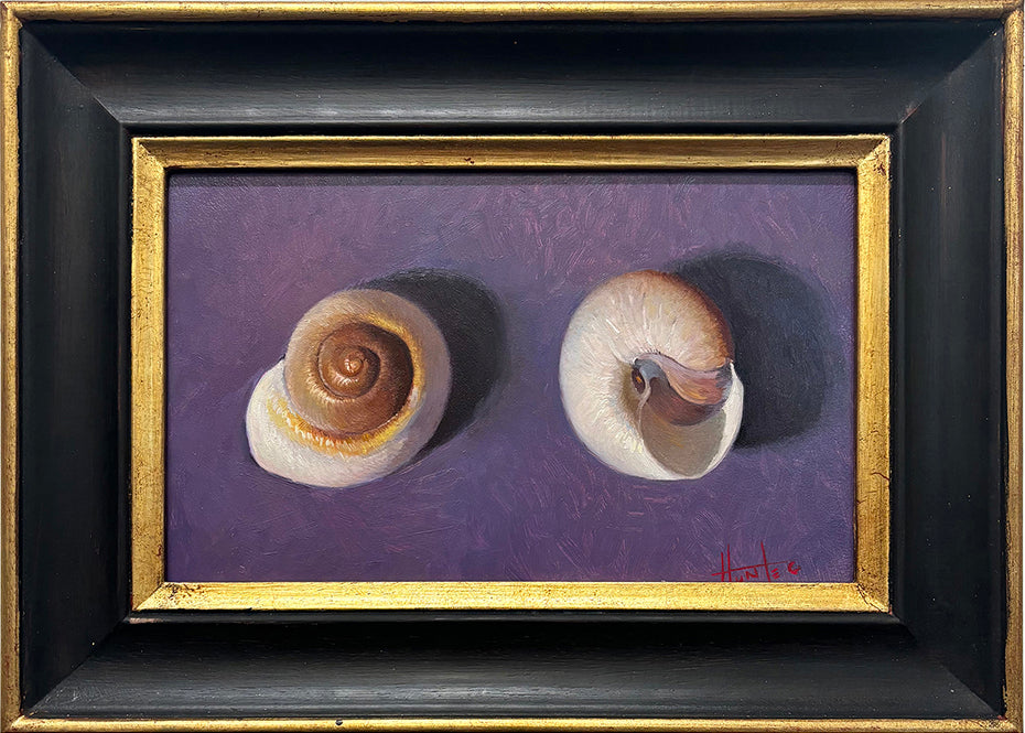 Sea Shells © Hunter Eddy