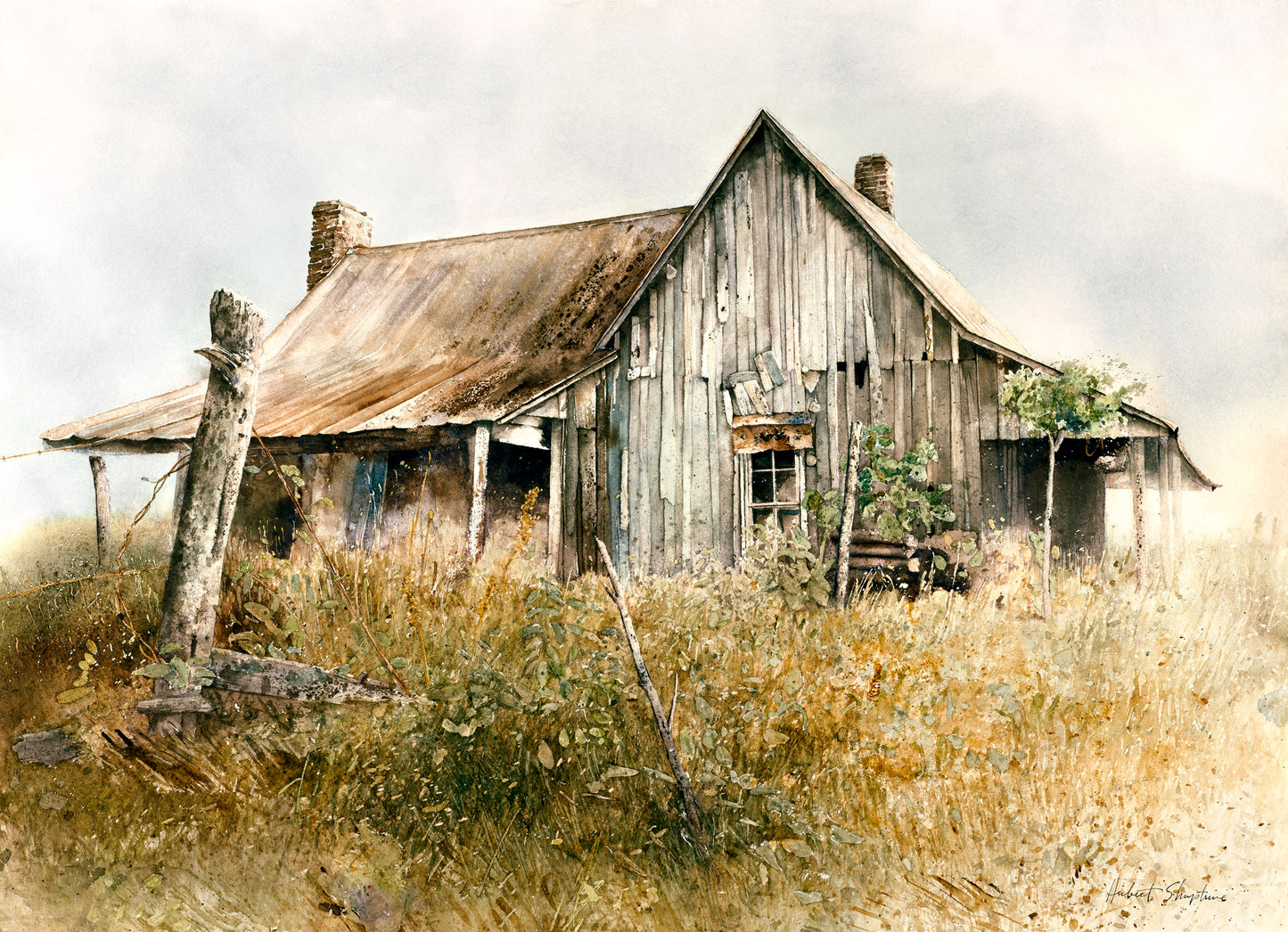 Tin Roof