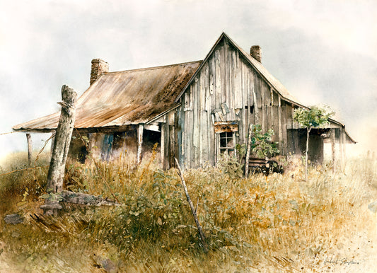 Tin Roof