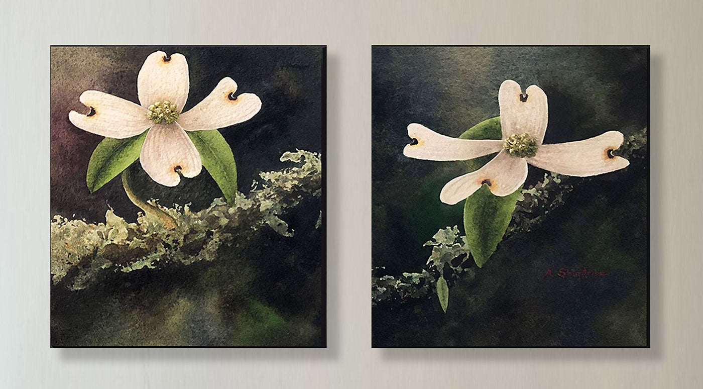 Dogwood Blossoms Diptych Giclee Canvases, 32 X 32