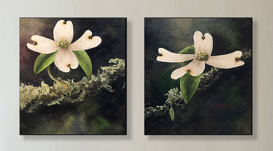 Dogwood Blossoms Diptych Giclee Canvases, 32 X 32