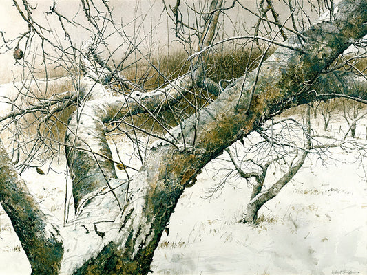 Winter Ballet © Hubert Shuptrine, 24 X 32 inches